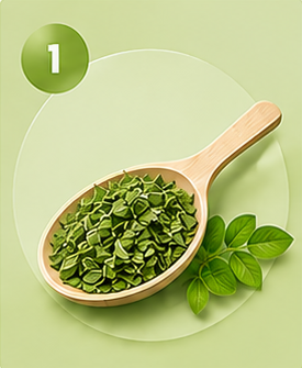 Moringa benefits